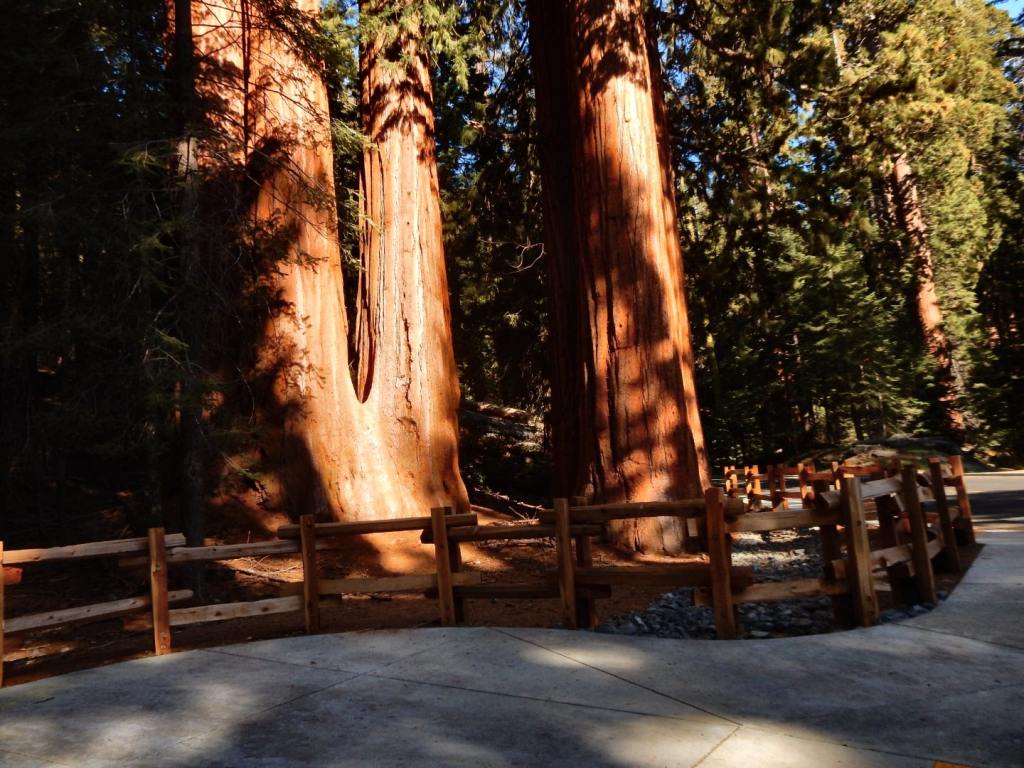 Redwoods und Todestal