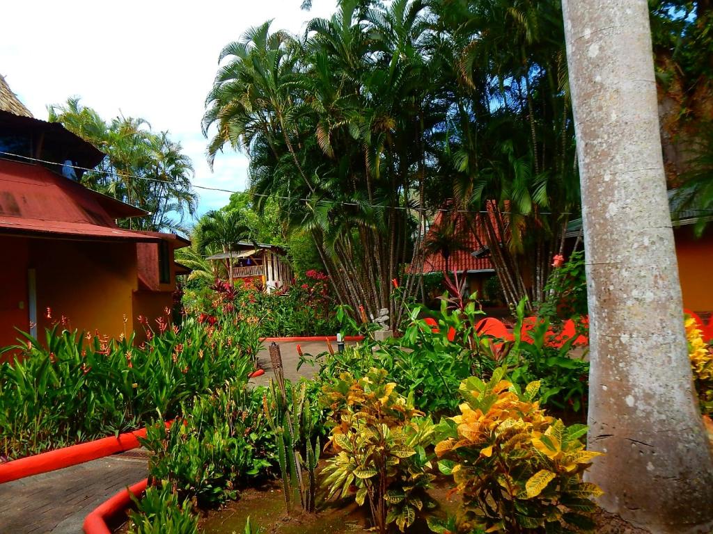 Tropischer Garten am&nbsp;Pazifik