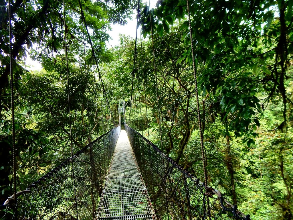 Erst Strand – dann&nbsp;Dschungel