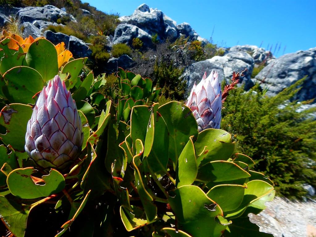 Entspannte letzte Tage in&nbsp;Afrika